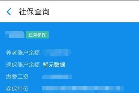 支付宝中怎么查询个人社保信息