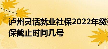 灵活就业医保是什么意思