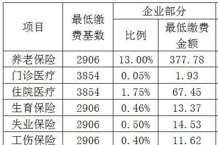 农村社保怎么缴费湖北