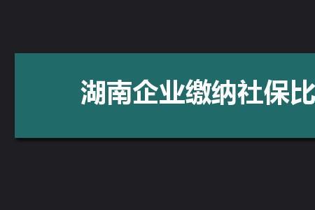 湖南省社保和市社保有什么区别
