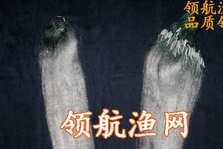半指鱼网是什么意思