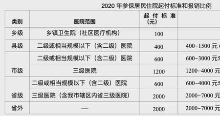 河南洛阳医疗保险怎么网上缴费