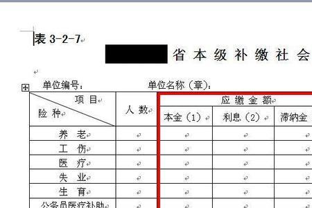 公司查前几年社保可以补缴吗