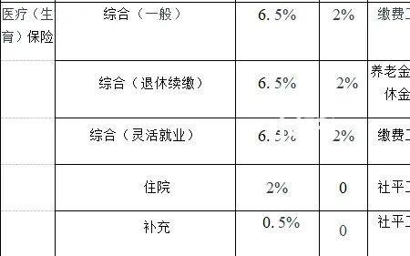 6600社保交多少