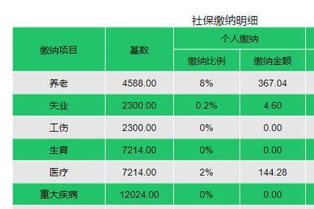 灵活就业社保2022年下半年怎么交