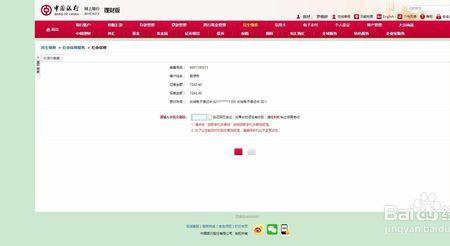 中国银行网银代发代付怎么下载
