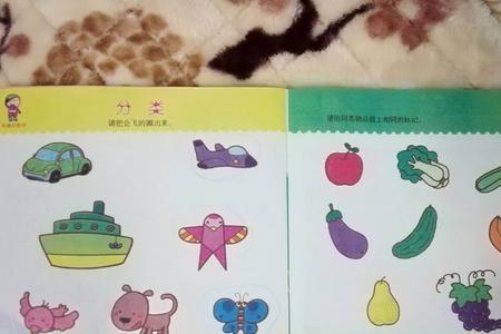 幼儿园小班归类怎样导入