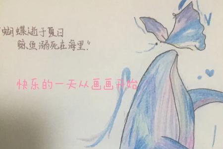 鲸鱼和蝴蝶有什么含义