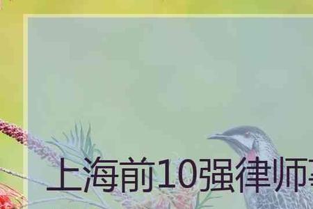 上海华荣律所口碑