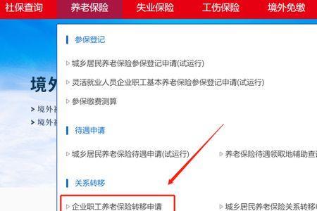 公司代缴养老保险怎么查