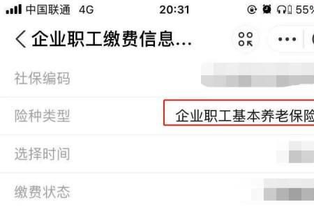 养老金个人账户收益怎么查