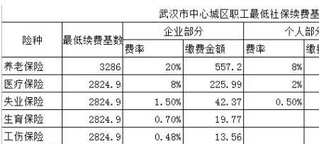 可以在武汉市多地参保吗