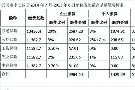 武汉社保10年可以到武汉退休吗
