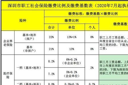 小规模公司如何交社保