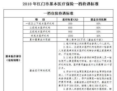 医保一档是什么意思