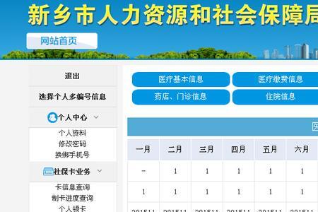 新乡社保卡怎么查询