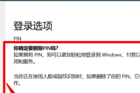 需要pin才能登录是什么意思