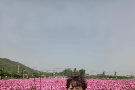 以诚交友的感悟