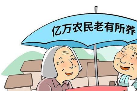 山东农保从哪年开始交