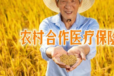 21年农村合作医疗如何网上缴纳