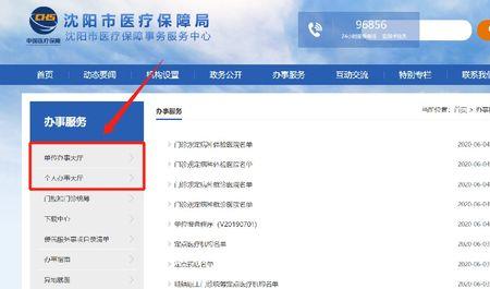 沈阳儿童医保在网上怎么交