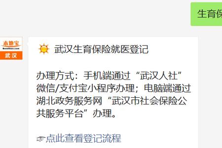 武汉生育津贴查询不了