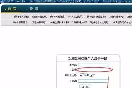 12333如何查询缴费情况