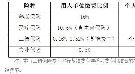 自交社保和公缴社保有什么区别