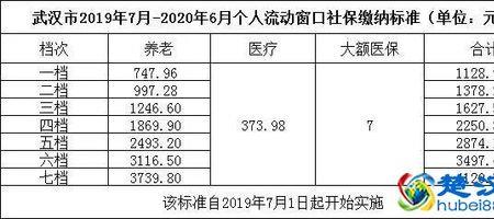 2013武汉灵活就业社保档次