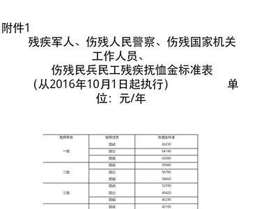 成都市残疾人社保缴费标准