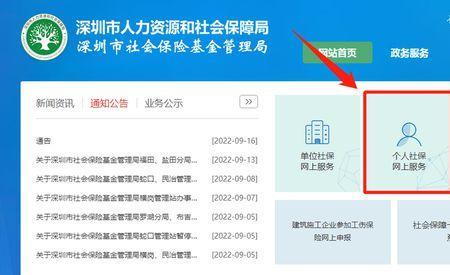 养老保险申报可以代办吗