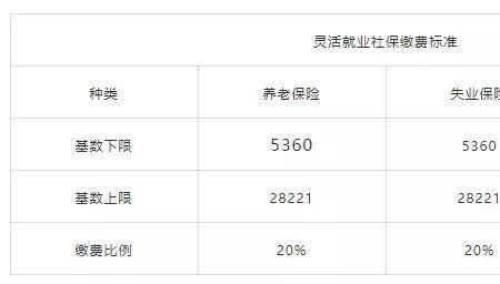 一半职工社保一半灵活就业社保