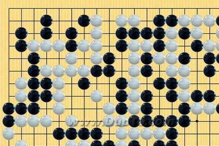 TOM围棋怎么有人一看要输就掉线