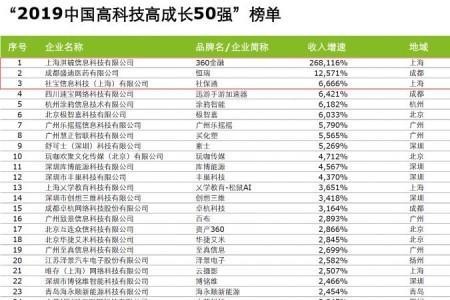 中国第一高科技公司