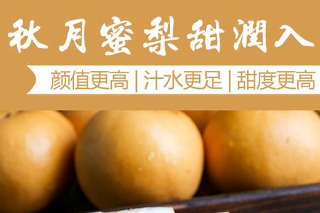 千月梨介绍