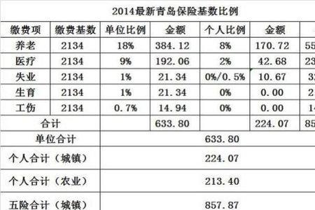 社保80%的缴费比例是多少