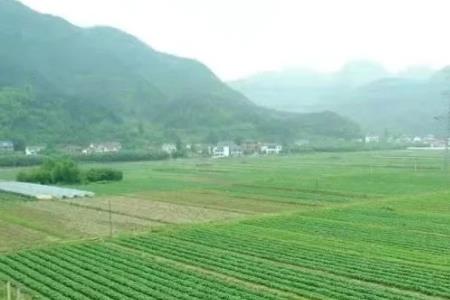 林下种植家庭农场认定标准