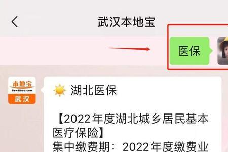 武汉市医保局在什么地方