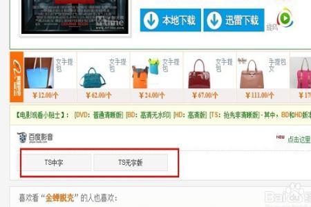TS和BD是什么意思