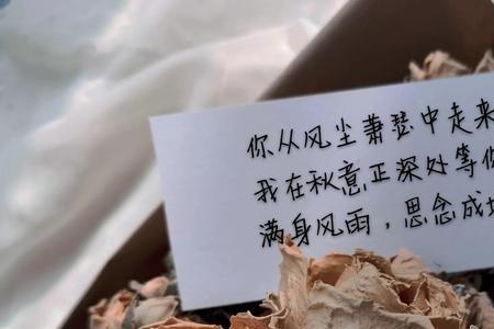 昭阳殿下捣衣声是什么意思
