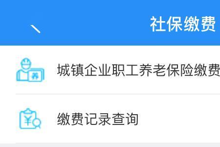 社保养老认证周期什么意思