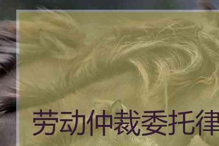 劳动仲裁律师费用大概需要多少