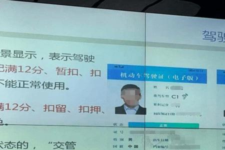 如何下载电子版驾驶证