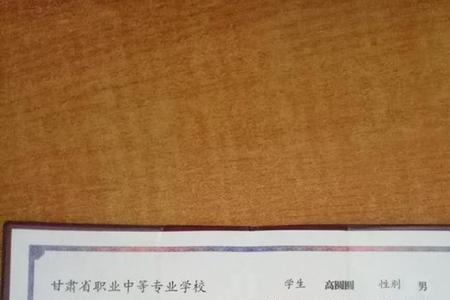 毕业证的电子注册号怎么查