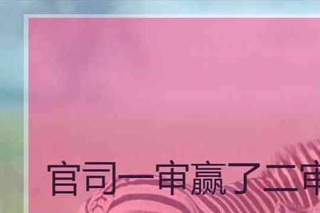 仲裁和一审都败诉二审会赢吗