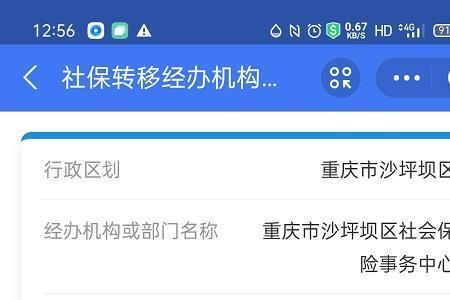 重庆医保每月返还明细查询