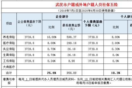 武汉怎么导出公司社保缴费明细