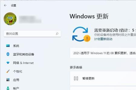 windows 11 如何关闭息屏