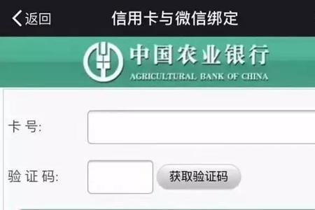 农业银行电子账户查询