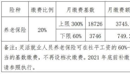 12333社保缴费比例查询